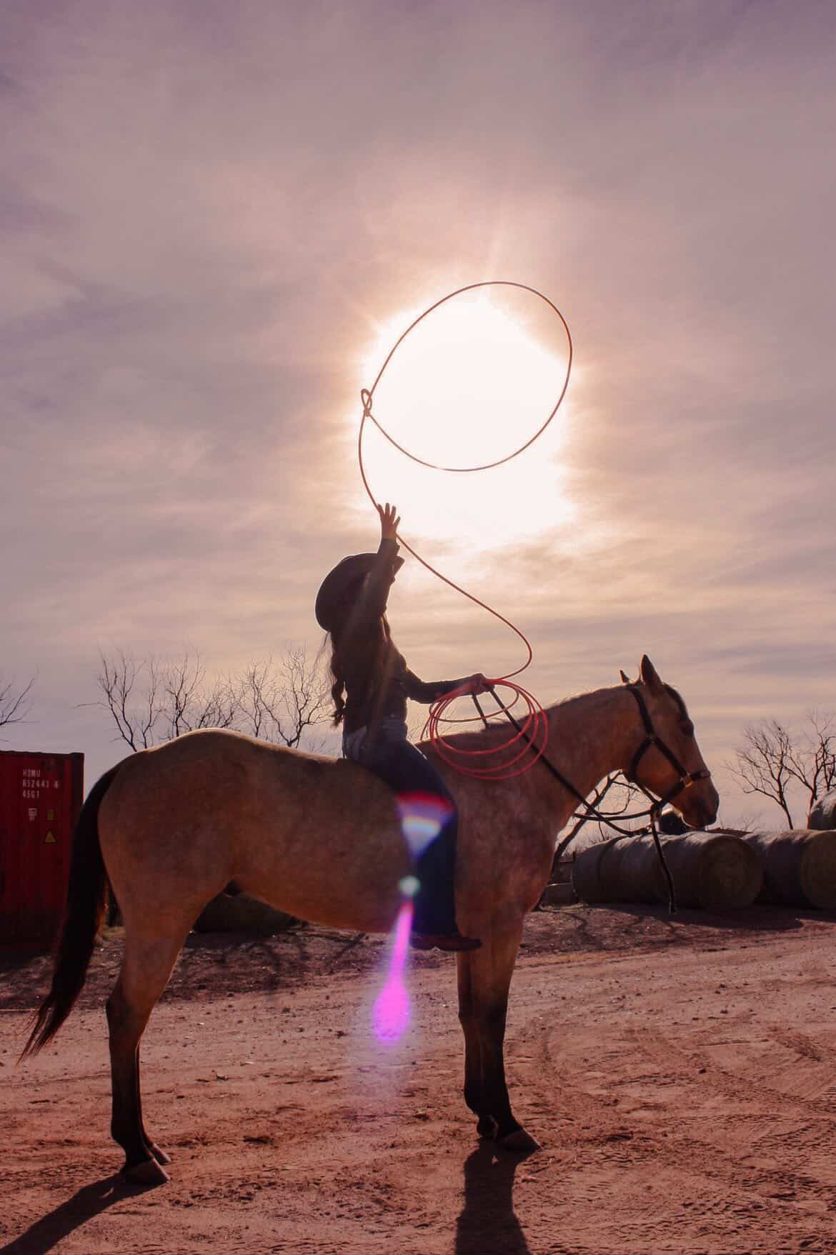 Fine art horse portrait in Texas pasture