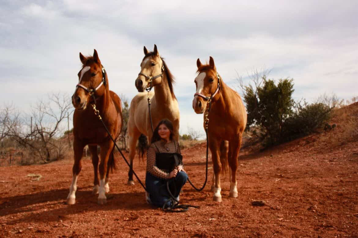 Three horses and western portrait on red dirt